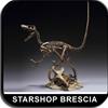 MASTER FOSSIL - Velociraptor Skeleton Pvc Figure