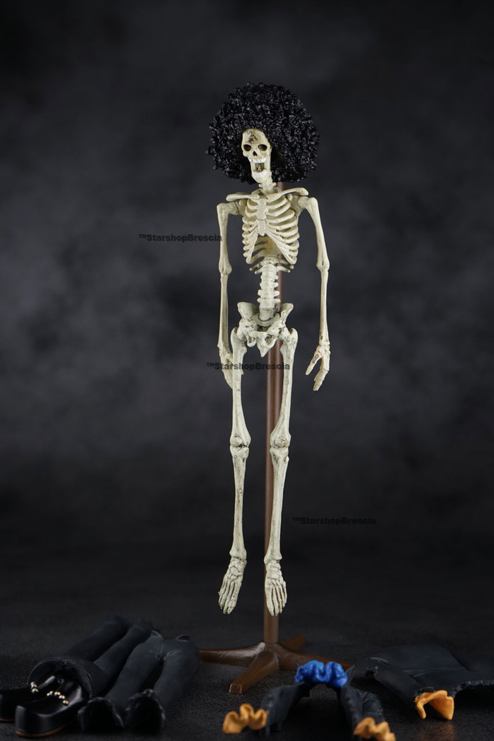 ONE PIECE DX Figure Grandline Treasure Vol Brook Skeleton Specimen Banpresto 2 