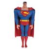 DC COMICS - Justice League The Animated Series - Superman Action Figure