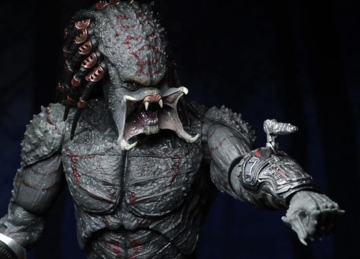 predator assassin