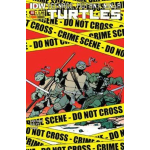 TEENAGE MUTANT NINJA TURTLES 11 PANINI NINJA 11