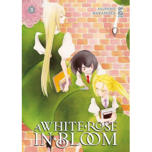 A WHITE ROSE IN BLOOM 3
