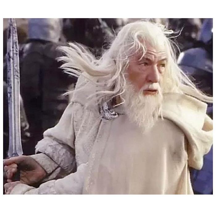 LORD OF THE RINGS - Figures of Fandom - Gandalf the White Pvc Figure