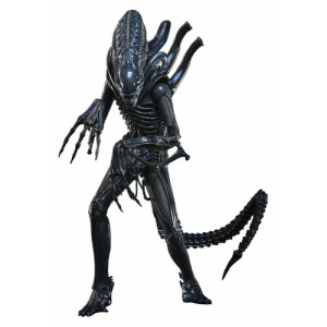 ALIEN - Alien Warrior Deluxe Ver. 1/6 Action Figure MMS899