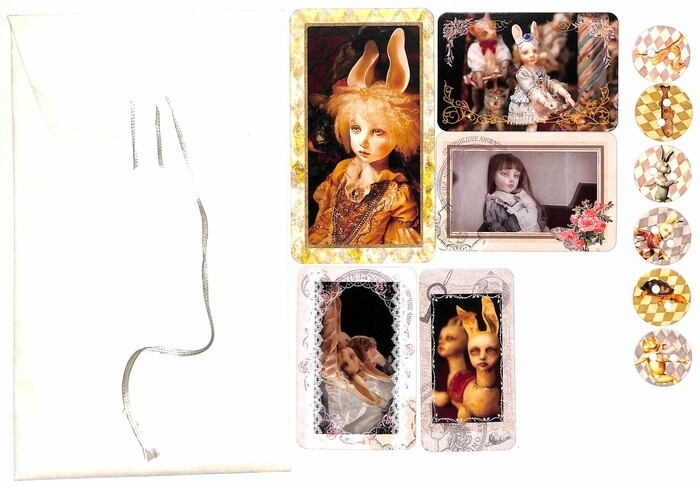 ALICE IN THE UNDERWORLD - Dark Marchen Show !! Mari Terashima Art Album + DVD