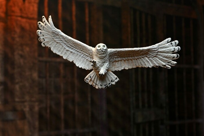 HARRY POTTER - Legacy Collection - Harry Potter Action Figure