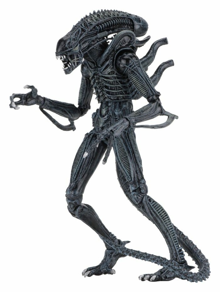 ALIENS - 40th Anniversary - 1986 Alien Warrior Blue Ultimate Action Figure