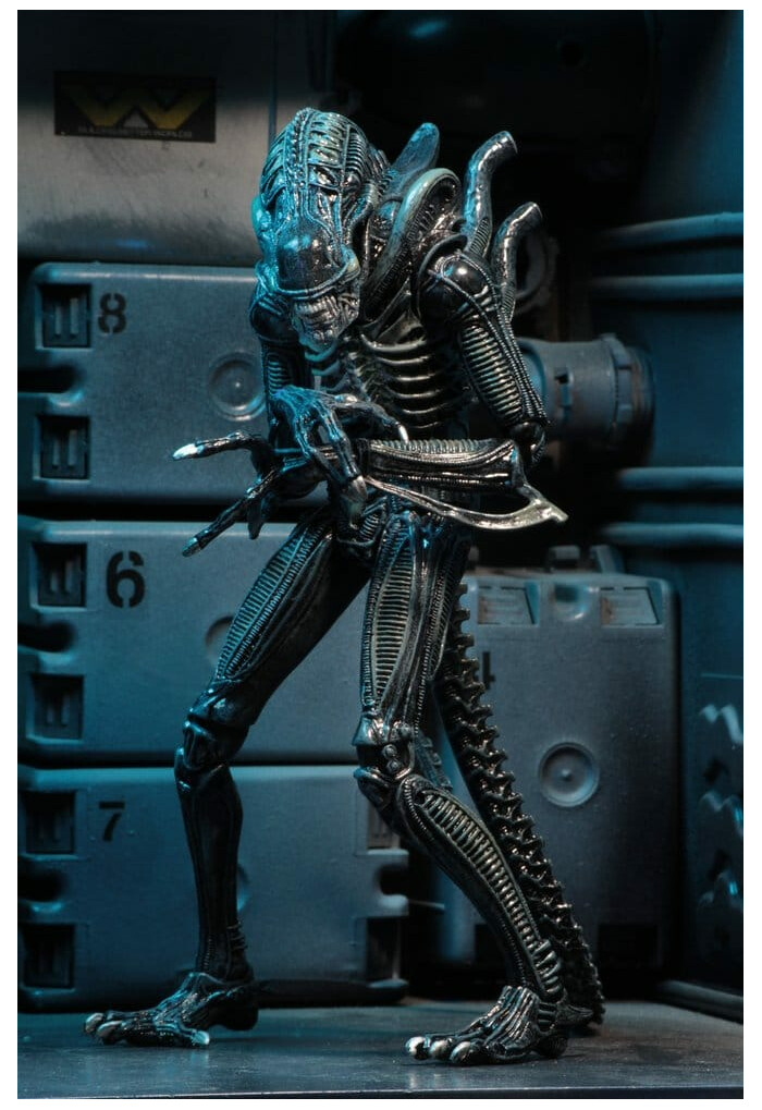 ALIENS - 40th Anniversary - 1986 Alien Warrior Blue Ultimate Action Figure