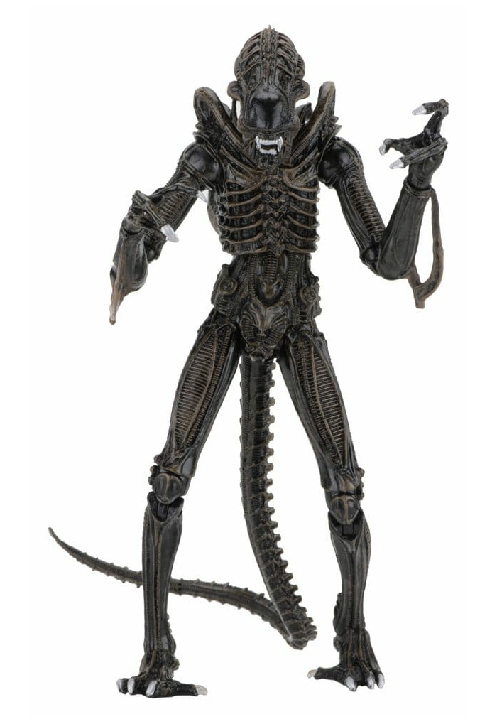ALIENS - 40th Anniversary - 1986 Alien Warrior Brown Ultimate Action Figure