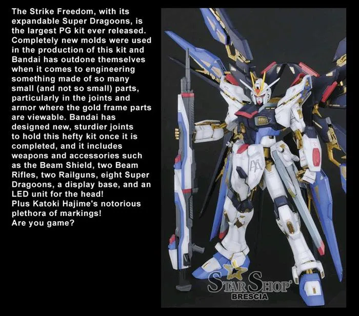 GUNDAM - 1/60 Gundam Strike Freedom Perfect Grade Model Kit PG
