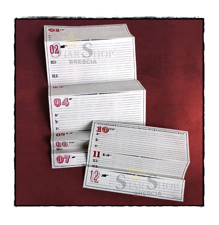 HARRY POTTER - Artefact Box Hermione Granger - Replica