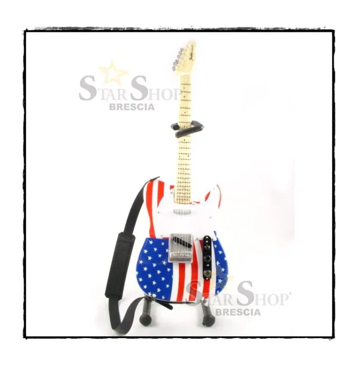 GUITARS COLLECTION - Bruce Springsteen - Fender Telecaster USA