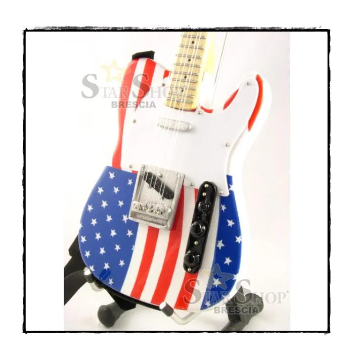 GUITARS COLLECTION - Bruce Springsteen - Fender Telecaster USA