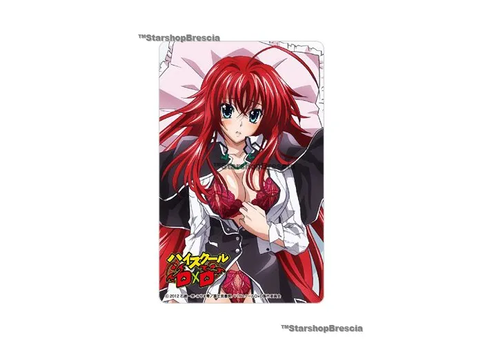 HIGH SCHOOL DxD - Rias Gremory Huggable Pillow Cover Limited Editon w/Card