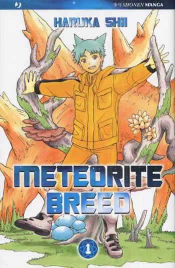 METEORITE BREED 01