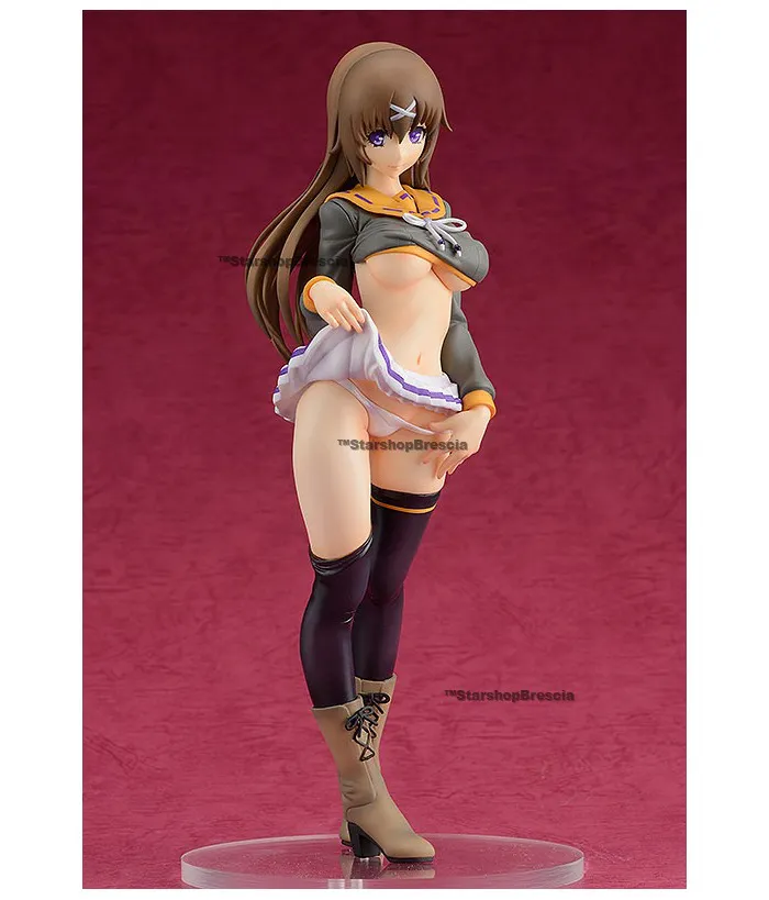 SAMURAI GIRLS - Sen Tokugawa 1/8 Pvc Figure Hyakka Ryoran