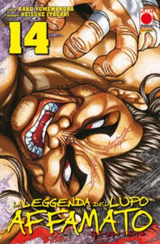 LA LEGGENDA DEL LUPO AFFAMATO 14 MANGA FIGHT 14