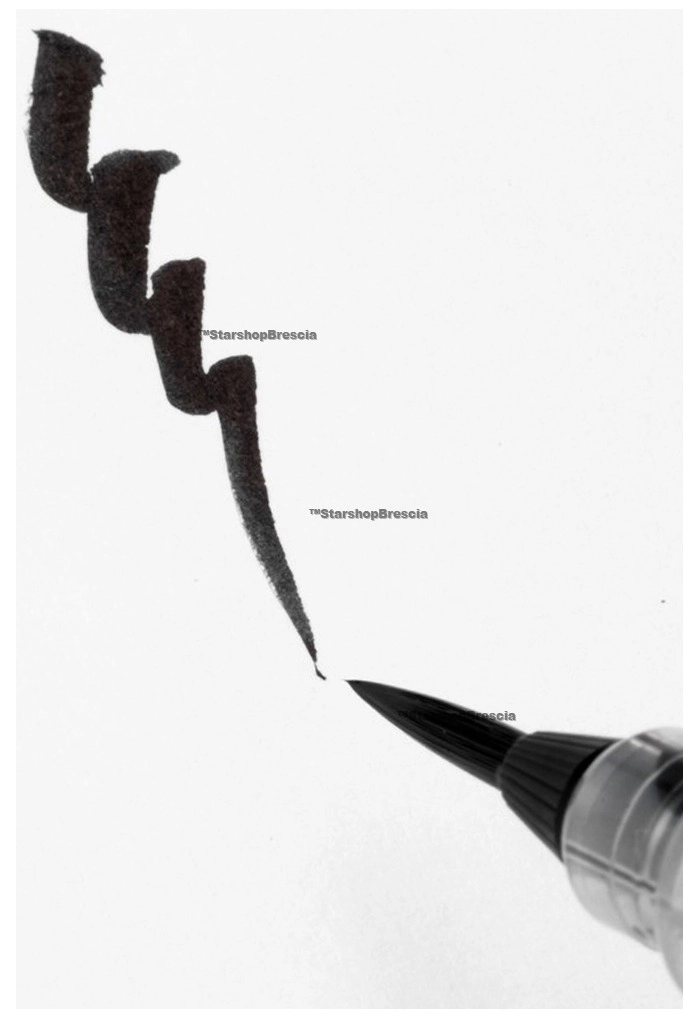 FUDE PEN - XFP5F Refillable Pigment Extra Fine