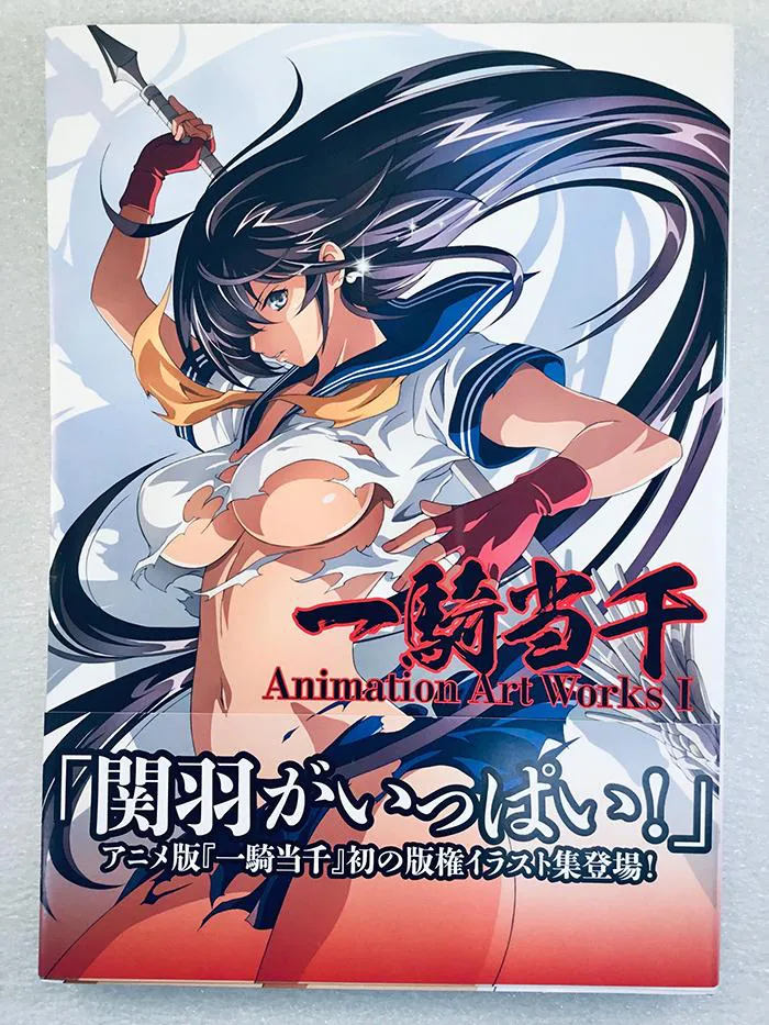 Ikki Tousen Battle Vixens Animation Art Works I Artbook