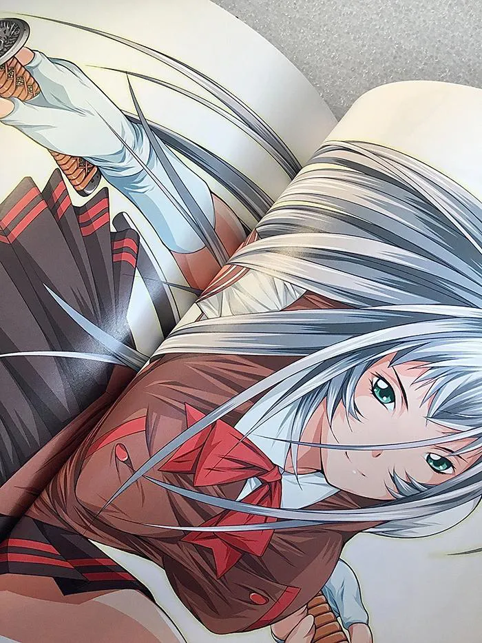 Ikki Tousen Battle Vixens Animation Art Works I Artbook