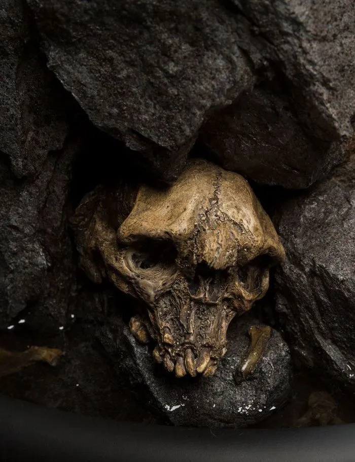 LORD OF THE RINGS - Gollum 1/3 Masters Collection Statue