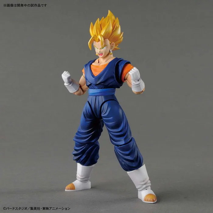 DRAGON BALL - Figure-rise Standard Super Saiyan Vegetto Model Kit