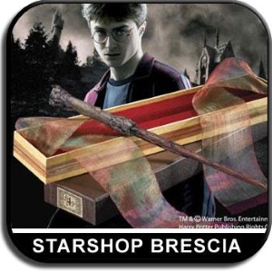 HARRY POTTER - Bacchetta Magica di Harry Wand Ollivanders Box
