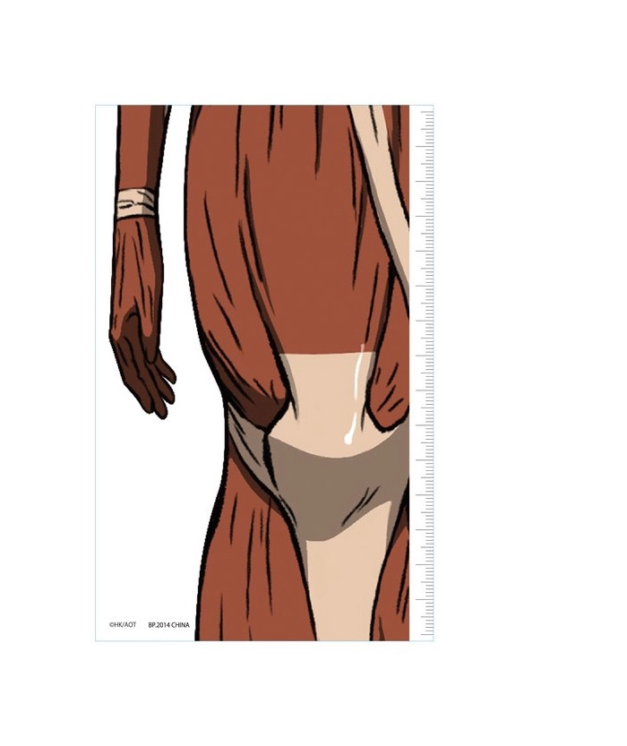 ATTACK ON TITAN - Mikasa Ackerman Ruler Ichiban Kuji