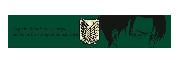 ATTACK ON TITAN - Levi Long Towel Ichiban Kuji