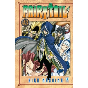FAIRY TAIL 43 YOUNG 255