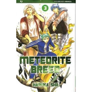 METEORITE BREED 03