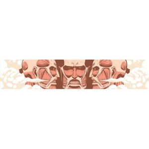 ATTACK ON TITAN - Colossal Titan Long Towel Ichiban Kuji