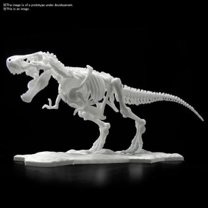 DINOSAUR LIMEX SKELETON - Tyrannosaurus Model Kit