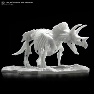 DINOSAUR LIMEX SKELETON - Triceratops Model Kit