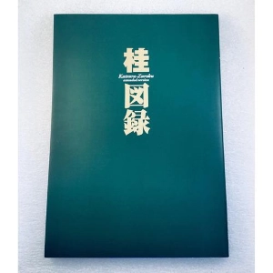 Masakazu Katsura - Katsura Zuroku Extended Artbook