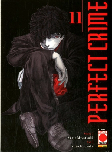 PERFECT CRIME 11