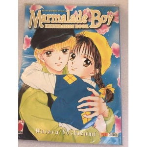 Marmalade Boy illustration Book Artbook