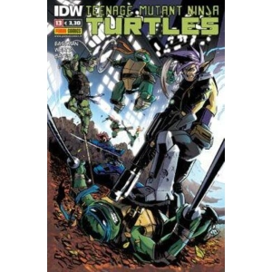 TEENAGE MUTANT NINJA TURTLES 13 PANINI NINJA 13