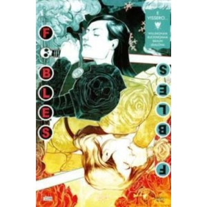 FABLES E VISSERO ... 21 VERTIGO HITS 38