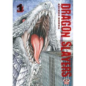 DRAGON SLAYERS 1