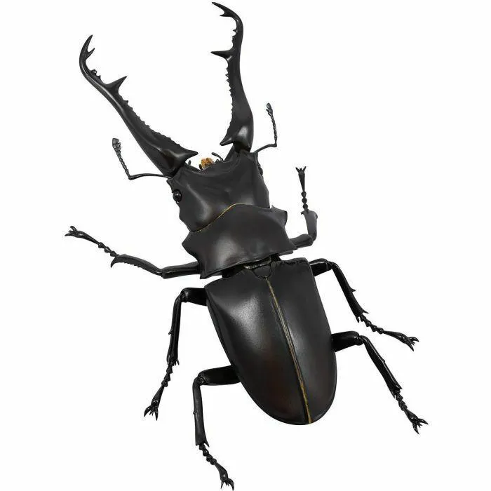 Revogeo Prosopocoilus Giraffa / Giraffe Stag Beetle