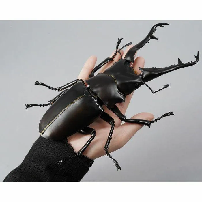 Revogeo Prosopocoilus Giraffa / Giraffe Stag Beetle