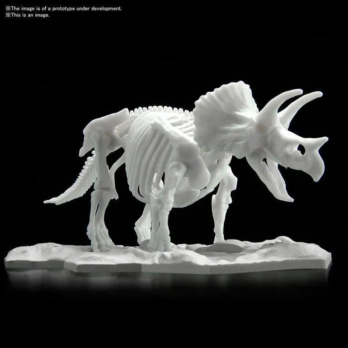 DINOSAUR LIMEX SKELETON - Triceratops Model Kit