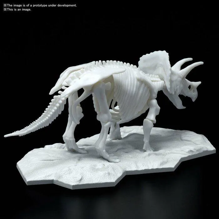 DINOSAUR LIMEX SKELETON - Triceratops Model Kit