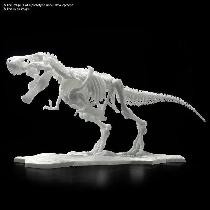 DINOSAUR LIMEX SKELETON - Tyrannosaurus Model Kit