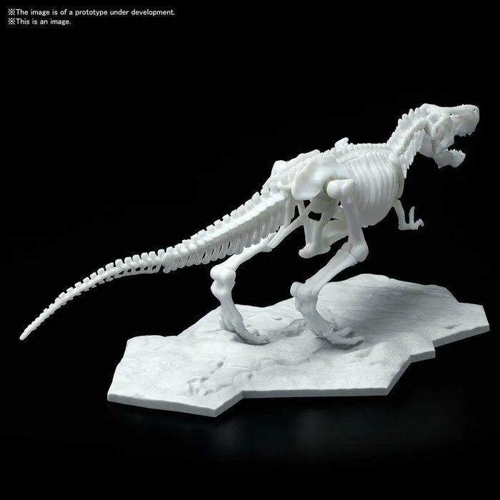 DINOSAUR LIMEX SKELETON - Tyrannosaurus Model Kit