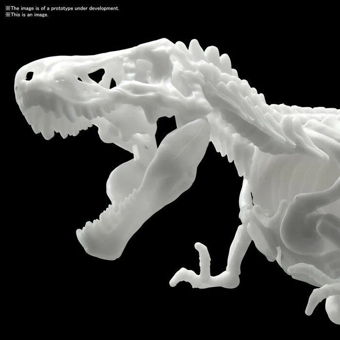 DINOSAUR LIMEX SKELETON - Tyrannosaurus Model Kit