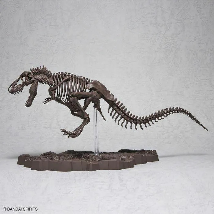 DINOSAUR - Imaginary Skeleton - Tyrannosaurus 1/32 Model Kit