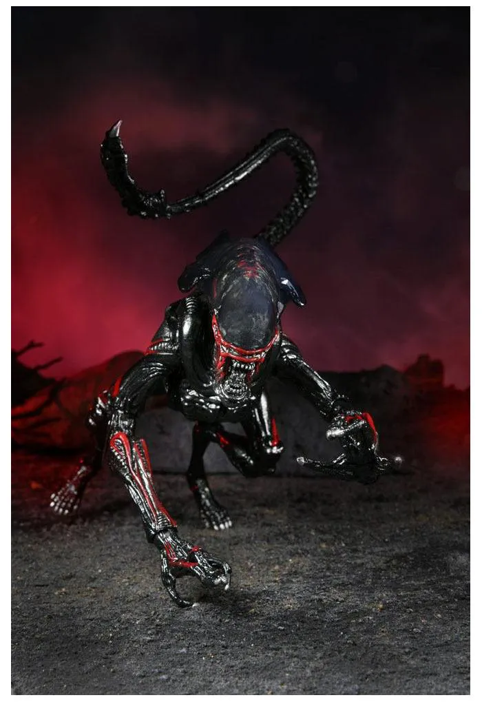 ALIENS - Night Cougar Alien Kenner Tribute Action Figure