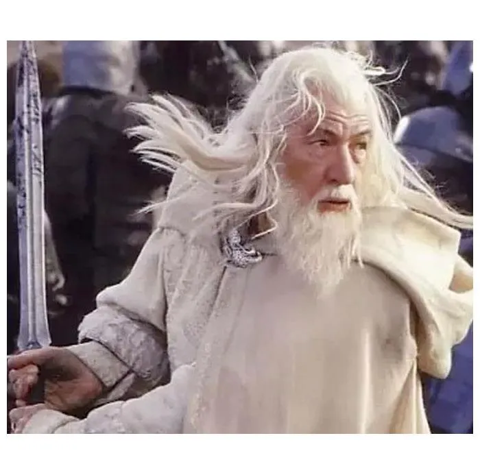 LORD OF THE RINGS - Figures of Fandom - Gandalf the White Pvc Figure